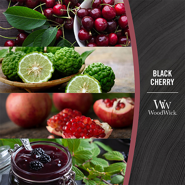 Black Cherry - Medium - Image 4